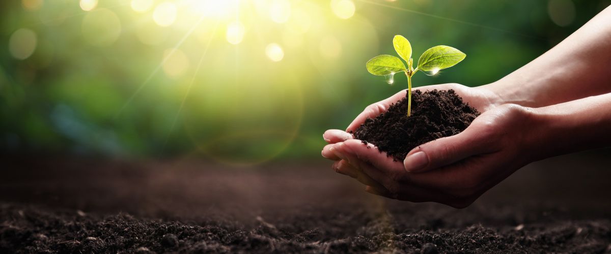 Lincoln sustainability